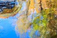 Abstract;Abstraction;Blue;Brown;Duck-River;Gold;Great-Smoky-Mountains;Great-Smok